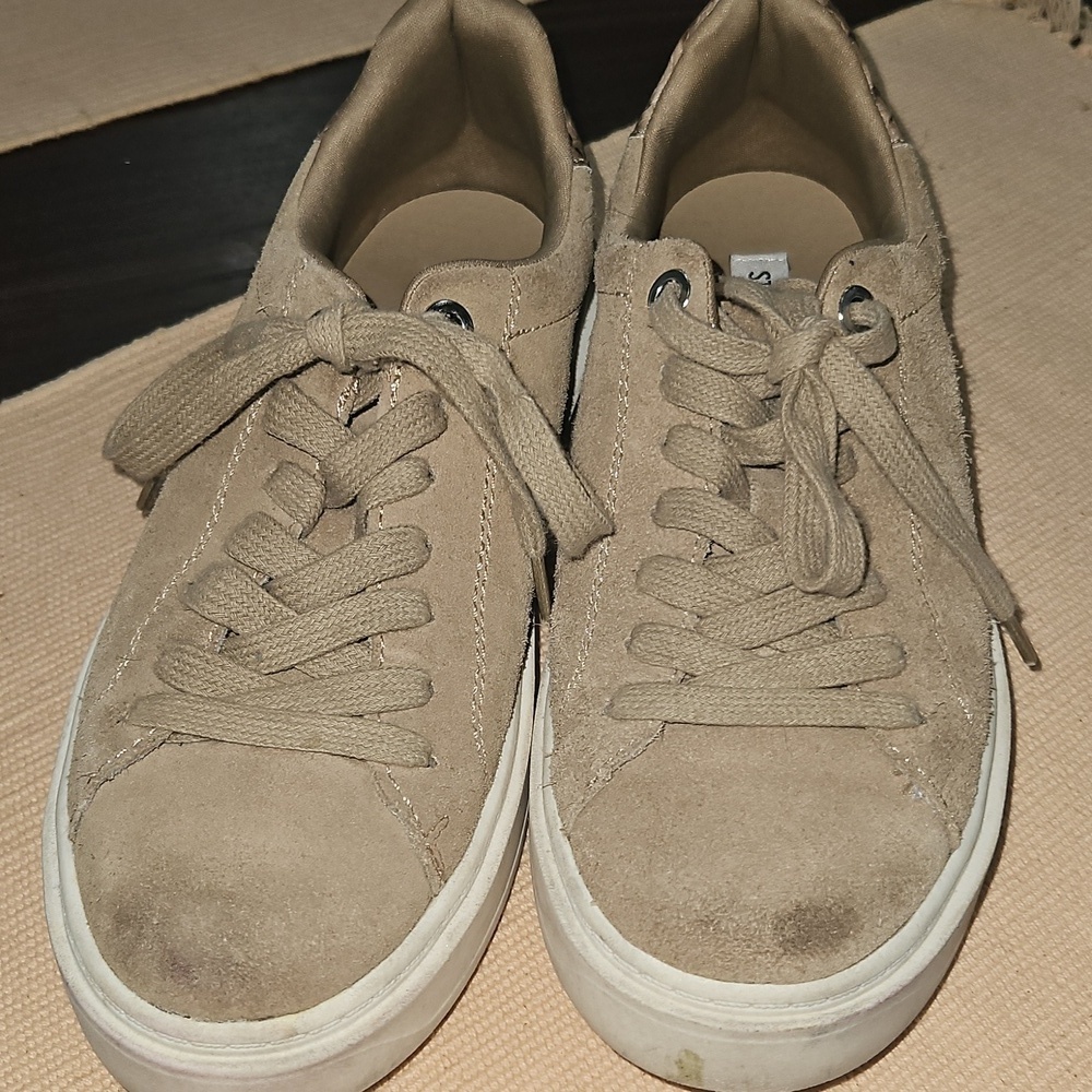 Steve Madden Charlie Suede Sneakers - Picture 1 of 5